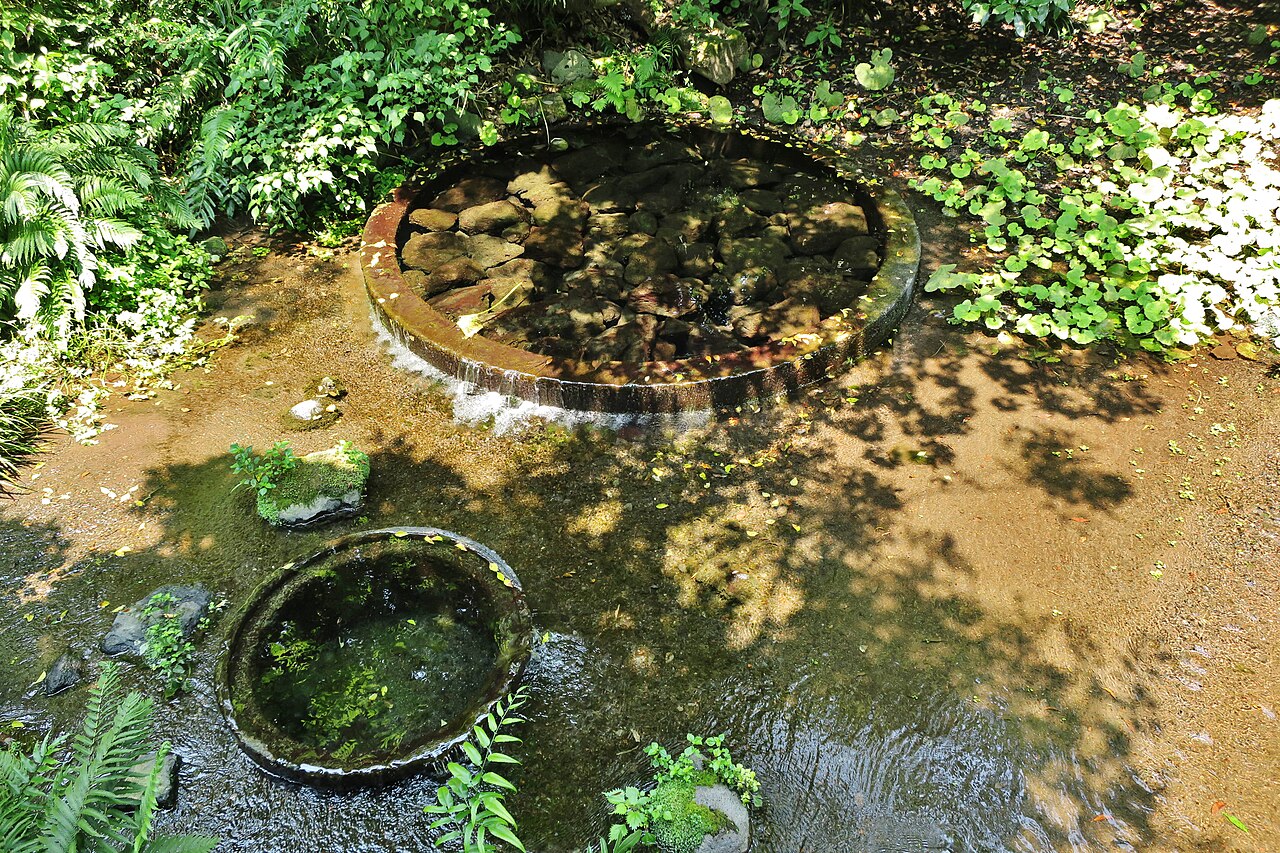 柿田川湧水群(三島エリア)