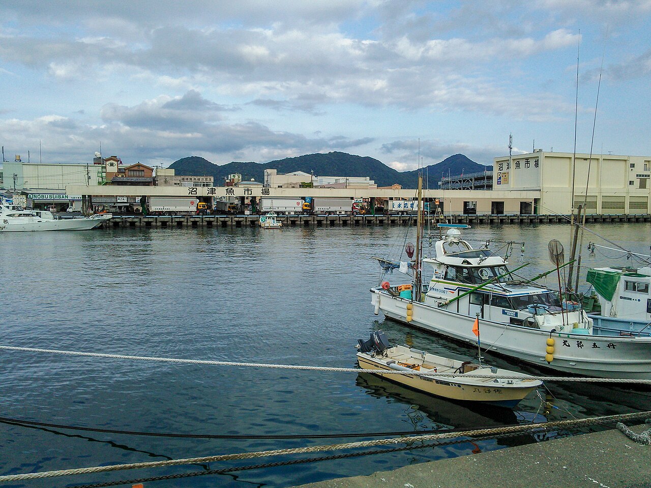 沼津魚市場の様子