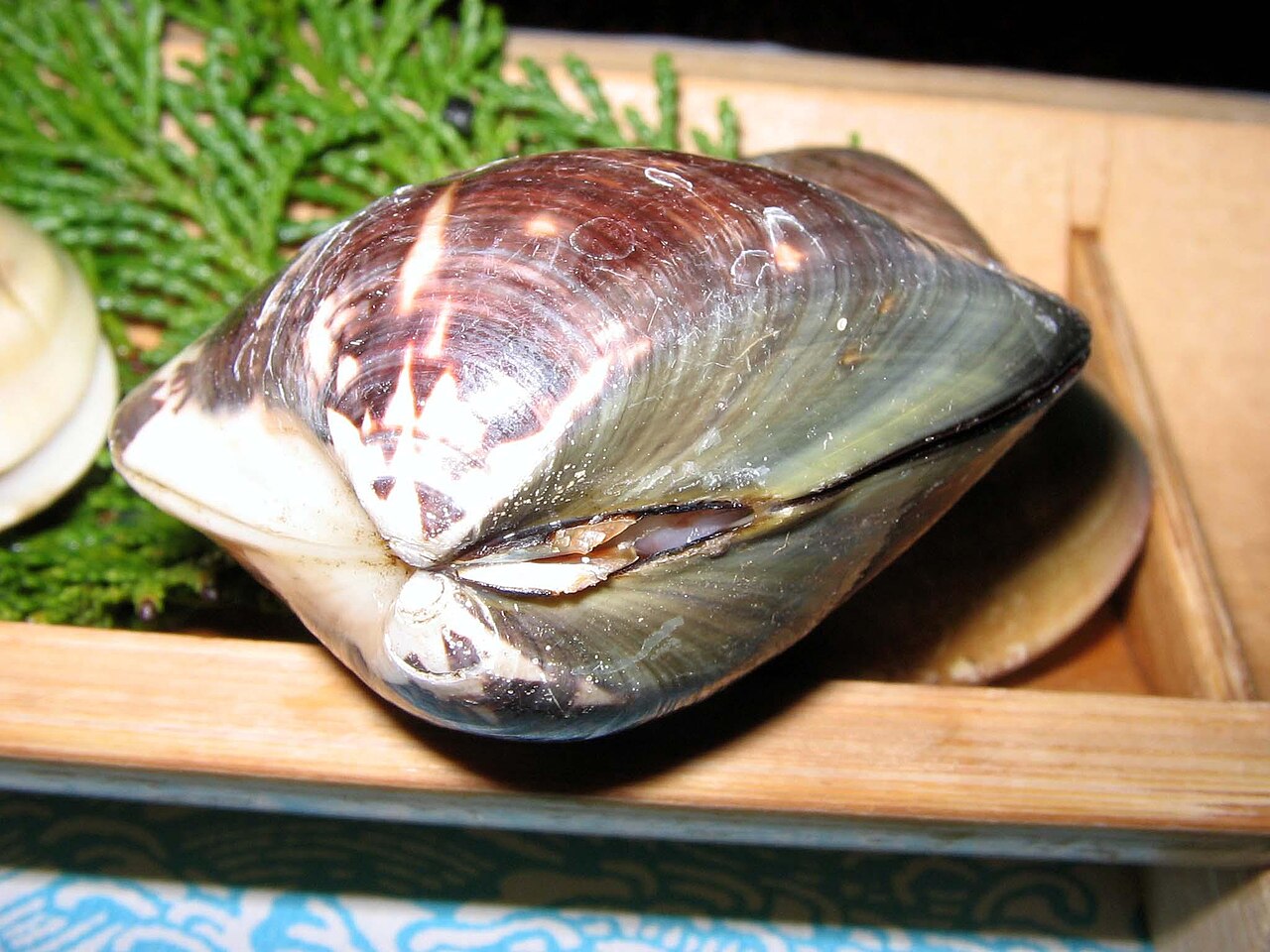 浜焼き(焼き蛤)のイメージ