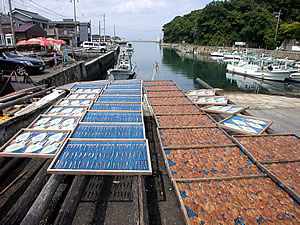 干物(アジの開きなど)