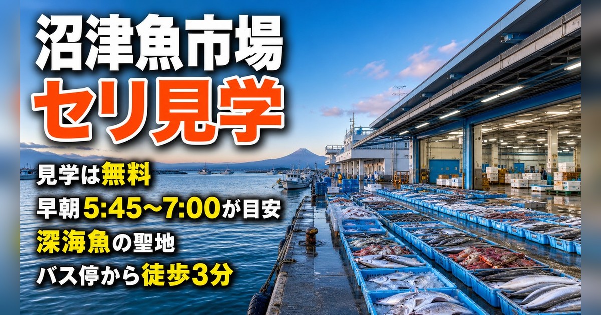 沼津魚市場INO｜セリ見学は何時から？駐車場・食堂・アクセス【2026年最新】