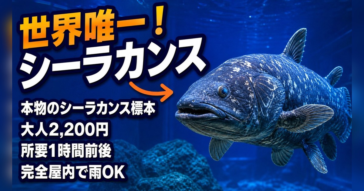 沼津港深海水族館(シーラカンス・ミュージアム)|冷凍シーラカンスの展示は世界でもここだけ