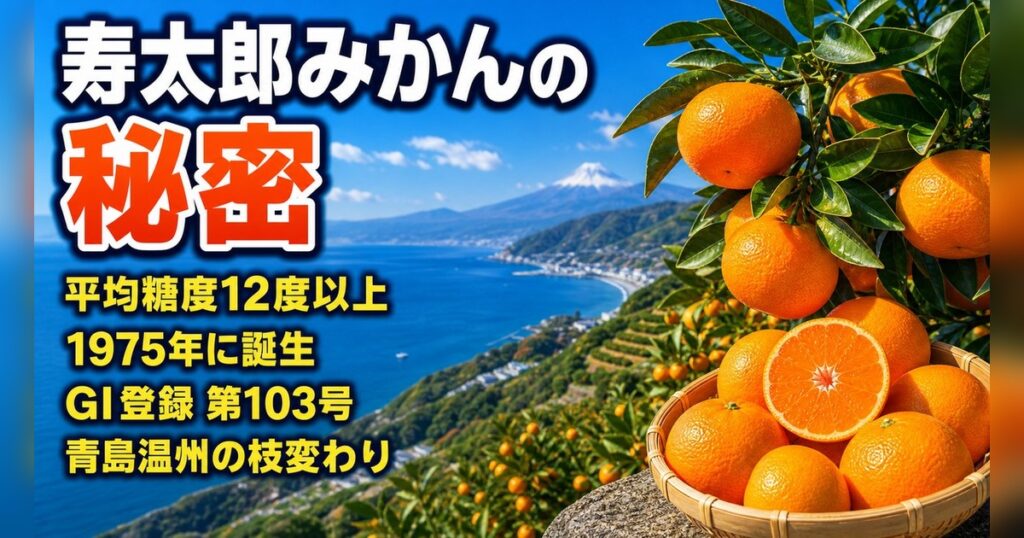 寿太郎みかんとは何か？沼津・西浦が誇るブランドみかんの秘密