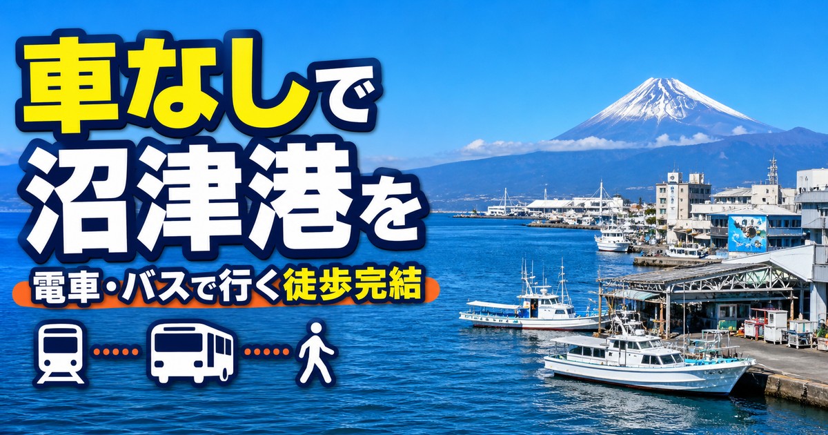 車なしで沼津港を満喫!電車・バスで行く徒歩完結モデルコース