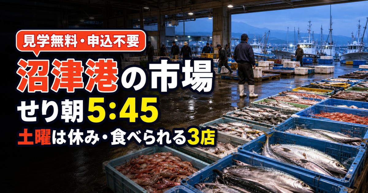 沼津港の市場|せり見学は朝5:45から・土曜は休み・市場の中で食べられる3店