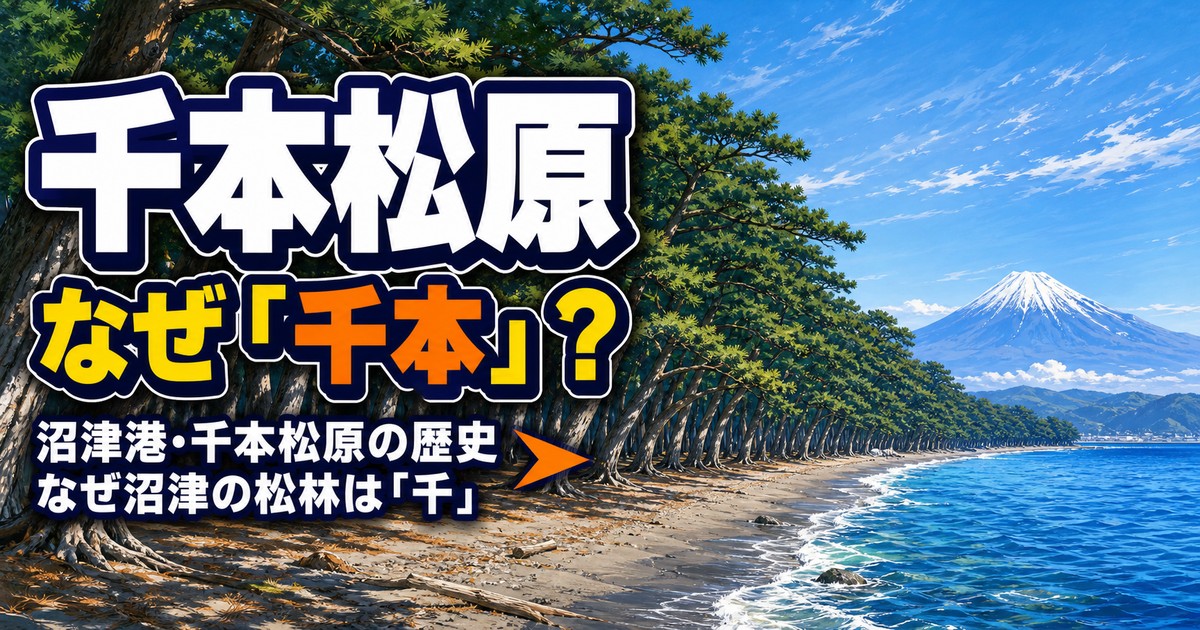 沼津・千本松原の歴史 なぜ沼津の松林は「千本」と呼ばれるのか