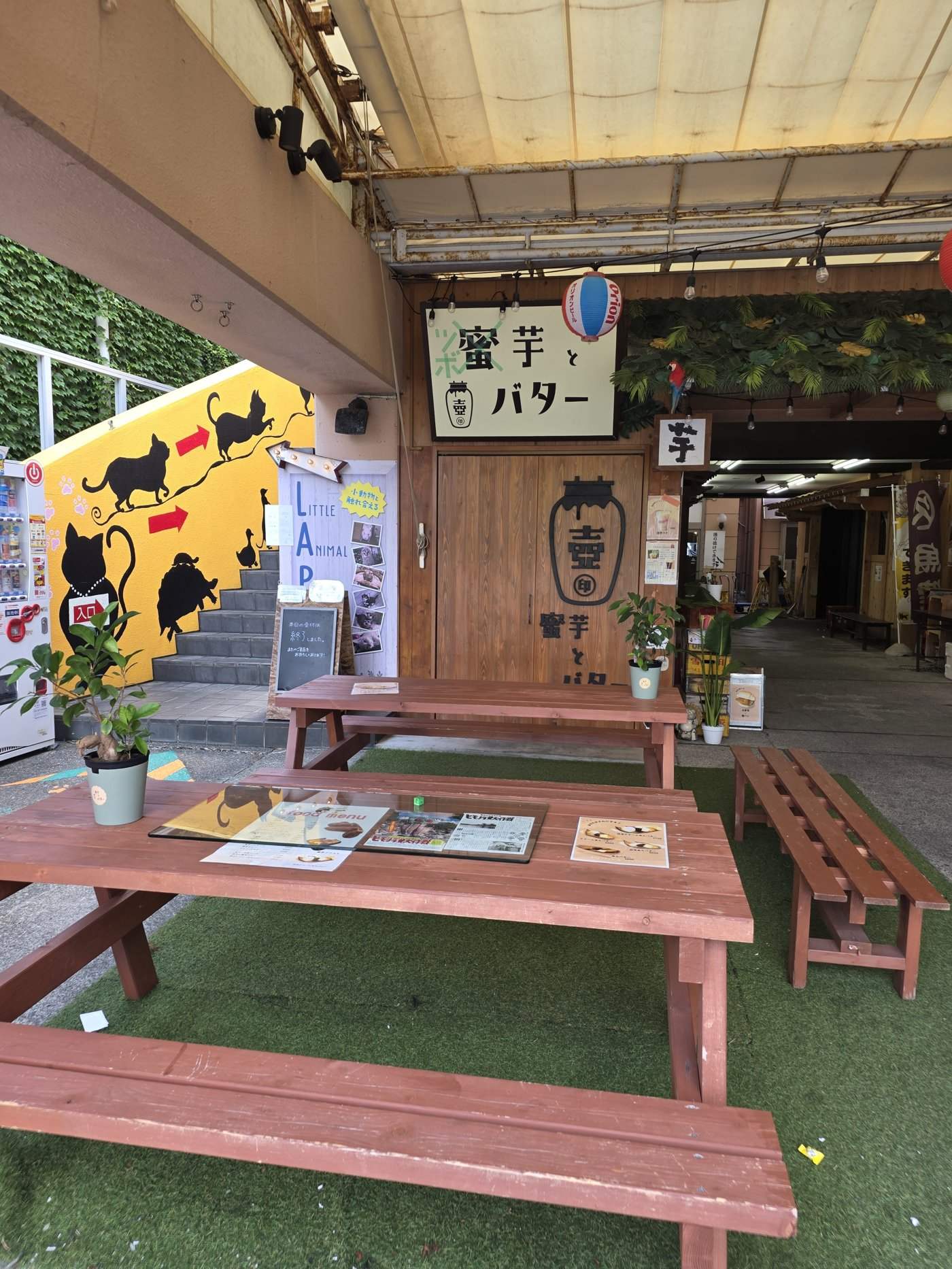 壺芋とバターの外観