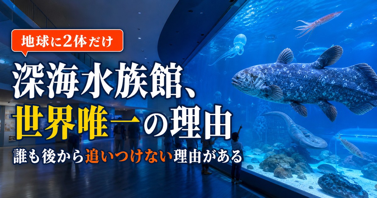 沼津港深海水族館|料金・所要時間・休館日と「世界唯一」の理由