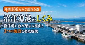 沼津漁港のしくみ｜内港・外港・魚市場の役割と、観光客が入れる範囲