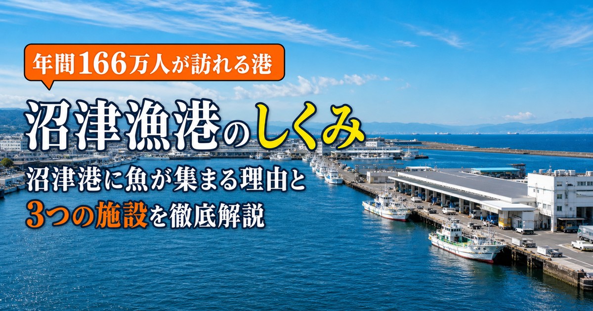 沼津漁港のしくみ｜内港・外港・魚市場の役割と、観光客が入れる範囲